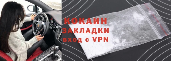 молекула духа Осташков