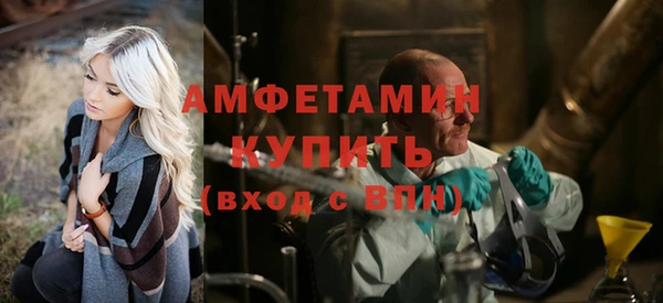 молекула духа Осташков