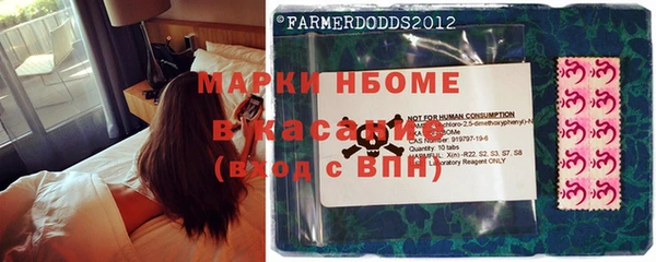 стаф Ветлуга