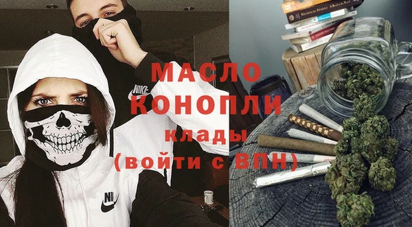 молекула духа Осташков