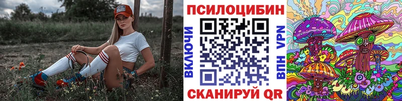 продажа наркотиков  Комсомольск  гидра как зайти  Галлюциногенные грибы Psilocybine cubensis 